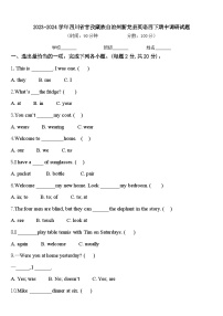 2023-2024学年四川省甘孜藏族自治州新龙县英语四下期中调研试题含答案