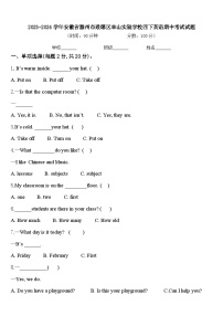 2023-2024学年安徽省滁州市琅琊区丰山实验学校四下英语期中考试试题含答案