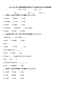 2023-2024学年安徽省铜陵市枞阳县四下英语期中学业水平测试试题含答案