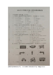 47，湖南省邵阳市新宁县藕塘小学等多校2023-2024学年五年级上学期期末考试英语试题