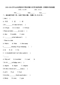 2023-2024学年山东省德州市宁津县育新小学四年级英语第二学期期中考试试题含答案