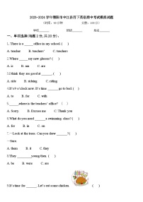 2023-2024学年德阳市中江县四下英语期中考试模拟试题含答案