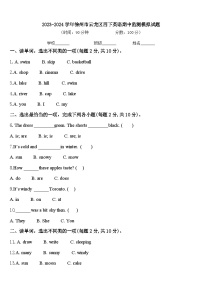 2023-2024学年徐州市云龙区四下英语期中监测模拟试题含答案