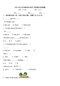 2023-2024学年徐州市沛县四下英语期中考试试题含答案