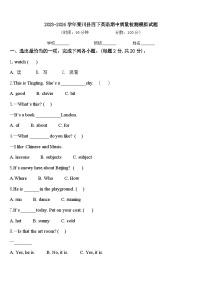 2023-2024学年栾川县四下英语期中质量检测模拟试题含答案