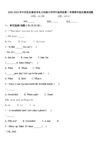 2023-2024学年河北省南宫市私立实验小学四年级英语第二学期期中综合测试试题含答案