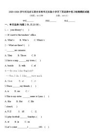 2023-2024学年河北省石家庄市裕华区实验小学四下英语期中复习检测模拟试题含答案