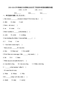 2023-2024学年海南省乐东黎族自治县四下英语期中质量检测模拟试题含答案