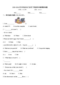 2023-2024学年河池市东兰县四下英语期中调研模拟试题含答案