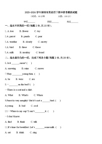 2023-2024学年深圳市英语四下期中联考模拟试题含答案