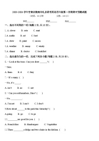 2023-2024学年甘肃省陇南市礼县联考英语四年级第二学期期中预测试题含答案