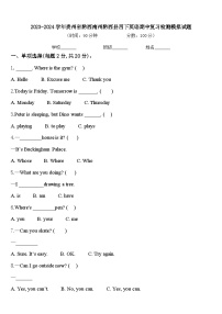 2023-2024学年贵州省黔西南州黔西县四下英语期中复习检测模拟试题含答案