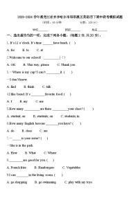 2023-2024学年黑龙江省齐齐哈尔市昂昂溪区英语四下期中联考模拟试题含答案