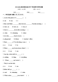 2024届云南省临沧地区四下英语期中联考试题含答案