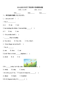 2024届吴川市四下英语期中考试模拟试题含答案