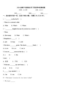 2024届咸宁市嘉鱼县四下英语期中监测试题含答案