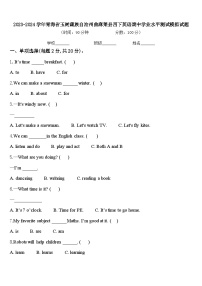 2023-2024学年青海省玉树藏族自治州曲麻莱县四下英语期中学业水平测试模拟试题含答案