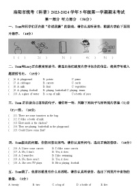 河南省洛阳市洛龙区2023-2024学年五年级上学期期末英语试题