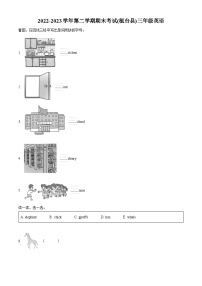 2022-2023学年山东省淄博市桓台县鲁科版（五四学制）（三起）三年级下册期末英语试卷（原卷版+解析版）