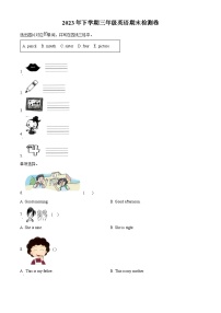 2023-2024学年湖南省常德市武陵区湘少版（三起）三年级上册期末质量检测英语试卷（原卷版+解析版）