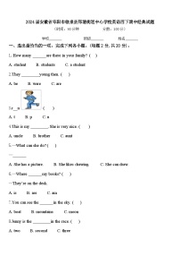 2024届安徽省阜阳市临泉县邢塘街道中心学校英语四下期中经典试题含答案