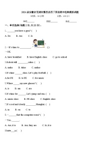 2024届安徽省芜湖市繁昌县四下英语期中经典模拟试题含答案