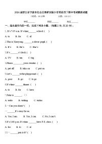 2024届浙江省宁波市北仑区柴桥实验小学英语四下期中考试模拟试题含答案