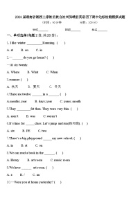 2024届湖南省湘西土家族苗族自治州保靖县英语四下期中达标检测模拟试题含答案