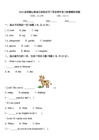 2024届西藏山南地区琼结县四下英语期中复习检测模拟试题含答案