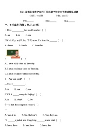 2024届衡阳市常宁市四下英语期中学业水平测试模拟试题含答案