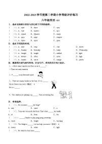 2022-2023学年河北省石家庄市高邑县冀教版（三起）六年级下册期中等级评价练习英语试卷