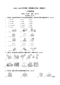 88，2022-2023学年山东省泰安市肥城市鲁科版（五四学制）（三起）三年级下册期末英语试卷