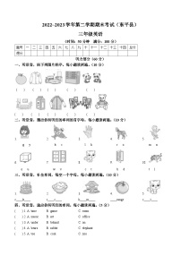 2022-2023学年山东省泰安市东平县鲁科版（五四学制）（三起）三年级下册期末考试英语试卷