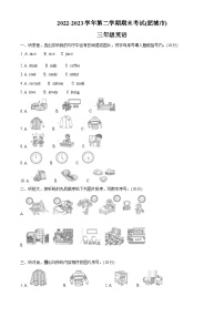 2022-2023学年山东省泰安市肥城市鲁科版（五四学制）（三起）三年级下册期末英语试卷（原卷版+解析版）