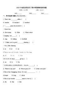 2024年成武县英语四下期中质量跟踪监视试题含答案