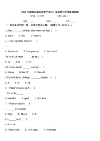 2024年湖南省衡阳市常宁市四下英语期中统考模拟试题含答案