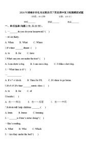 2024年湖南省怀化市辰溪县四下英语期中复习检测模拟试题含答案