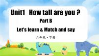 小学英语人教版 (PEP)六年级下册Unit 1 How tall are you? Part B教学ppt课件