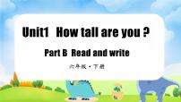 小学Unit 1 How tall are you? Part B教学课件ppt