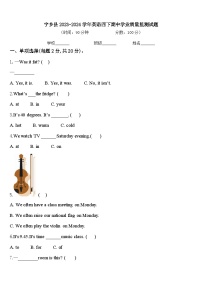 宁乡县2023-2024学年英语四下期中学业质量监测试题含答案