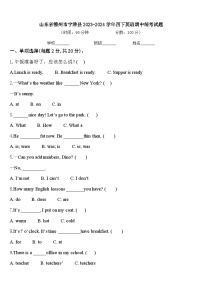 山东省德州市宁津县2023-2024学年四下英语期中统考试题含答案