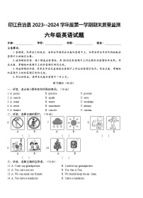 贵州省铜仁市印江县2023-2024学年六年级上学期期末考试英语试题