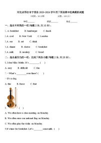 河北省邢台市宁晋县2023-2024学年四下英语期中经典模拟试题含答案