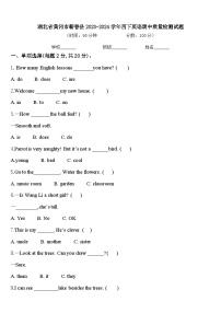 湖北省黄冈市蕲春县2023-2024学年四下英语期中质量检测试题含答案