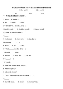 湖北省武汉市黄陂区2024年四下英语期中综合测试模拟试题含答案