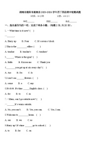 湖南省衡阳市衡南县2023-2024学年四下英语期中检测试题含答案