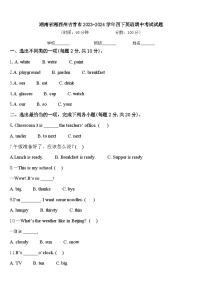 湖南省湘西州吉首市2023-2024学年四下英语期中考试试题含答案