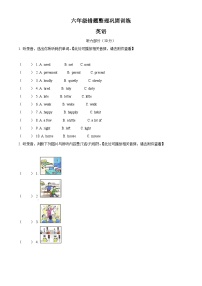 2022-2023学年江苏省淮安市清江浦区译林版（三起）六年级下册期中错题整理巩固训练英语试卷（含听力音频）（原卷版+解析版）