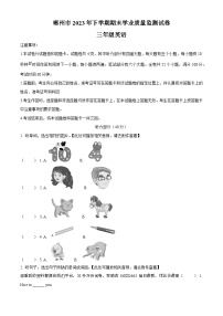 315，2023-2024学年湖南省郴州市湘少版（三起）三年级上册期末质量检测英语试卷（）