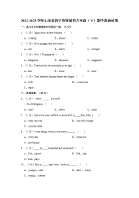 2022-2023学年山东省济宁市邹城市六年级下学期期中英语试卷（含答案）